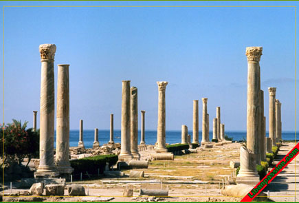 Roman Column of Tyre